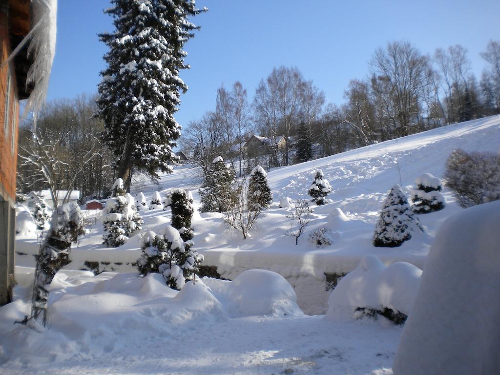 Chata Amalka Rokytnice nad Jizerou Bagian luar foto